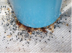 sabanas puntos negros